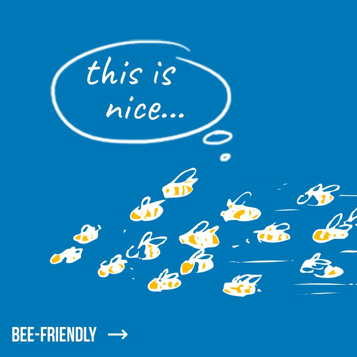 Kachel-Bee-Friendly